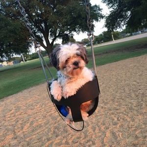 Meet your Posher, Tamara